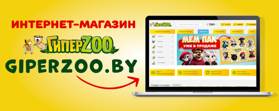 Запуск сайта giperzoo.by Запуск сайта giperzoo.by
