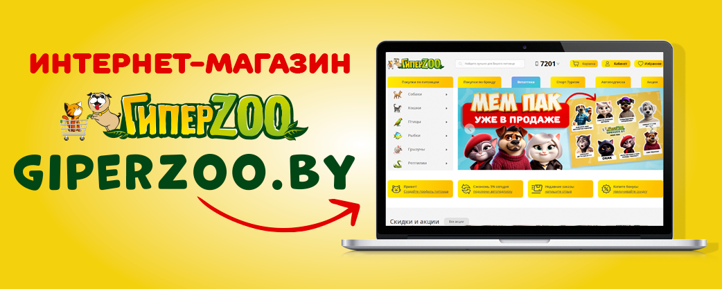 Запуск сайта giperzoo.by