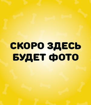 Лешкова Ольга Сергеевна